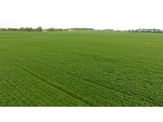 Property photo 12 - IMPORTANT OHIO LAND AUCTION - 325.5+/- ACRES OFFERED IN 8 TRACTS IN PICKAWAY COUNTY, OHIO
